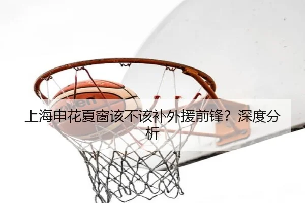 上海申花夏窗该不该补外援前锋？深度分析（xingkong.com）