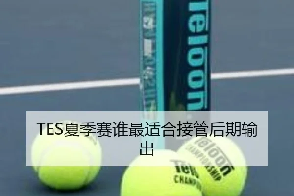 TES夏季赛谁最适合接管后期输出 - xingkong.com